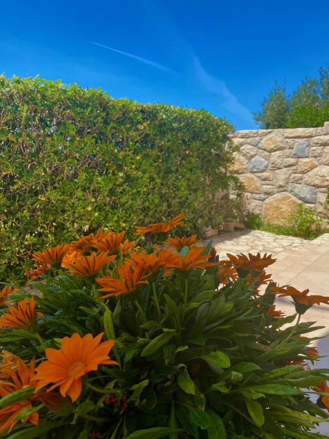 Villa Cvita ปอฟเลียนา ภายนอก รูปภาพ