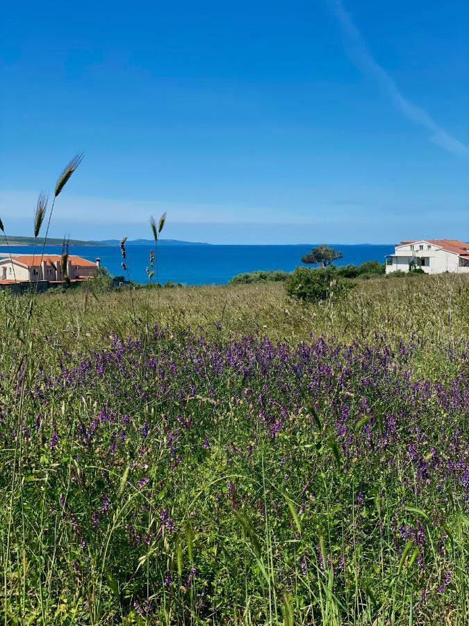Villa Cvita ปอฟเลียนา ภายนอก รูปภาพ