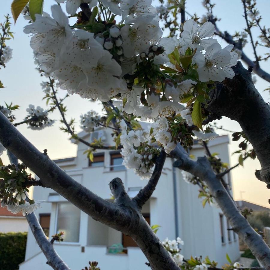 Villa Cvita ปอฟเลียนา ภายนอก รูปภาพ